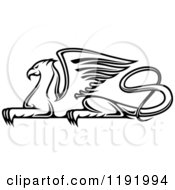 Poster, Art Print Of Black And White Resting Griffin