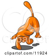 Scared Orange Tick Hound Dog Digging A Hole