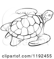 Poster, Art Print Of Black And White Sea Turtle