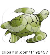 Poster, Art Print Of Green Sea Turtle