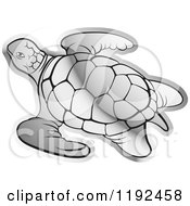 Poster, Art Print Of Silver Sea Turtle