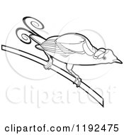 Clipart Of An Exotic Black And White Bird On A Stem Royalty Free Vector Illustration