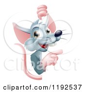 Happy Gray Rat Pointing Around A Sign