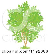 Poster, Art Print Of Tree With Green Leaves