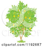 Cartoon Of A Fruit Tree With Yellow Pears And Green Leaves Royalty Free Vector Clipart