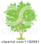 Poster, Art Print Of Tree With Gree Leaves 2