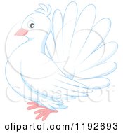 Poster, Art Print Of Cute White Dove Or Pigeon