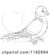 Cartoon Of A Cute Outlined Happy Pigeon Royalty Free Vector Clipart