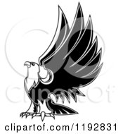 Poster, Art Print Of Black And White Eagle Lifting His Wings 2