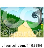 Poster, Art Print Of Path With Shrubs Trees And Hills