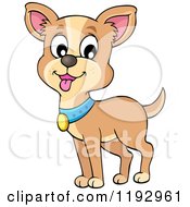 Poster, Art Print Of Happy Chihuahua Dog With A Blue Collar