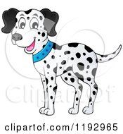 Poster, Art Print Of Happy Dalmatian Dog Wearing A Blue Collar