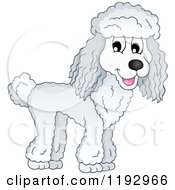 Poster, Art Print Of Happy Poodle Dog