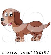 Happy Brown Dachshund Dog