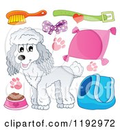 Poster, Art Print Of Happy White Poodle Dog And Supplies