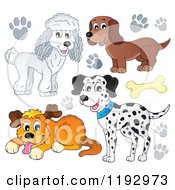 Poster, Art Print Of Dogs And Paw Prints