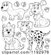 Poster, Art Print Of Black And White Happy Dogs And Paw Prints