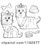 Black And White Yorkie Dogs With A Brush Bone And Food Bowl
