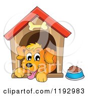Happy Dog Panting In A House