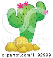 Poster, Art Print Of Green Cacuts Plant With Pink Flowers And Boulders
