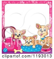 Chihuahua Dogs With Supplies And A Pink Paw Print Frame Around White Copyspace