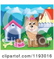 Poster, Art Print Of Happy Yorkie Terrier Sittingby A Dog House With Food And A Bone