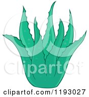 Poster, Art Print Of Green Aloe Plant
