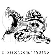 Clipart Of An Attacking Black And White Snake Royalty Free Vector Illustration by dero #COLLC1193135-0053