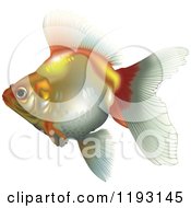 Clipart Of A Goldfish Royalty Free Vector Illustration