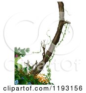 Poster, Art Print Of Tree And Jungle Foliage Over White
