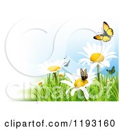 Clipart Of Butterflies And White Flowers With Grass Royalty Free Vector Illustration