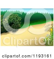 Poster, Art Print Of Nature Path With Plants