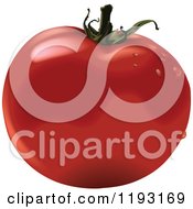 Clipart Of A Plump Red Tomato With Dew Royalty Free Vector Illustration by dero