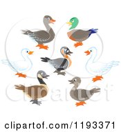 Cartoon Of Cute Ducks In Profile Royalty Free Vector Clipart