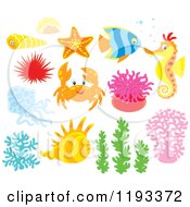 Sea Creatures And Plants