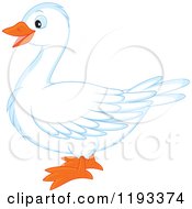 Poster, Art Print Of Cute White Duck Or Goose In Profile