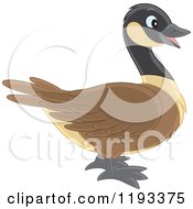Poster, Art Print Of Cute Brown And Black Duck Canadian Goose In Profile