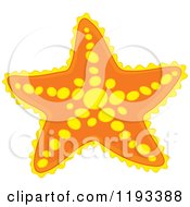 Yellow And Orange Starfish