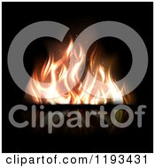 Fire With Flickering Flames On Reflective Black