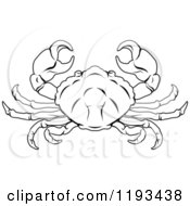 Poster, Art Print Of Black And White Line Drawing Of The Cancer Crab Zodiac Astrology Sign