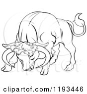 Poster, Art Print Of Black And White Line Drawing Of The Taurus Bull Zodiac Astrology Sign