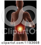 Poster, Art Print Of 3d Medical Female Model With Glowing Lower Back Pain On Black