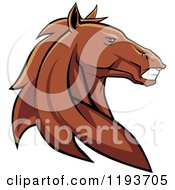 Tough Brown Horse Head