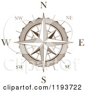 Brown And White Compass Rose
