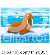 Poster, Art Print Of Cute Walrus On Floating Ice