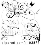 Poster, Art Print Of Black And White Scrolling Vines With Butterflies Hearts And Tendrils