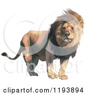 Poster, Art Print Of Male Lion With A Breeze Through His Mane