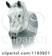 Poster, Art Print Of White Horse