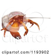 Clipart Of An Orange Hermit Crab Royalty Free Vector Illustration by dero