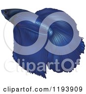 Clipart Of A Beautiful Blue Betta Siamese Fighting Fish Royalty Free Vector Illustration